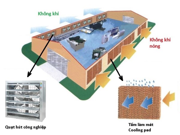 Hệ thống làm mát nhà xưởng Cooling Pad - Nhà Thầu Điệp Tiến Phát - Công Ty TNHH Điệp Tiến Phát
